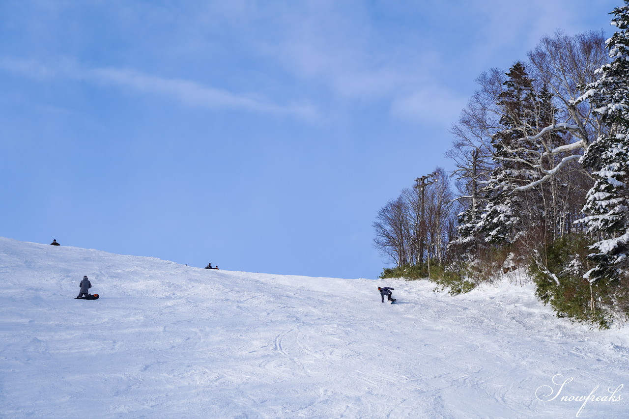 札幌国際スキー場 これぞ北海道。粉雪が降り積もったゲレンデはコンディション良好！そして、早くも全コース滑走可能です(*^^)v